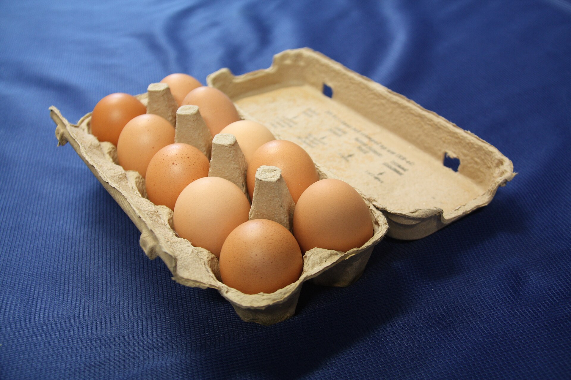 Imagem de referência de ovo como alimento, descrito nos dados abertos como produto alimentar de origem animal