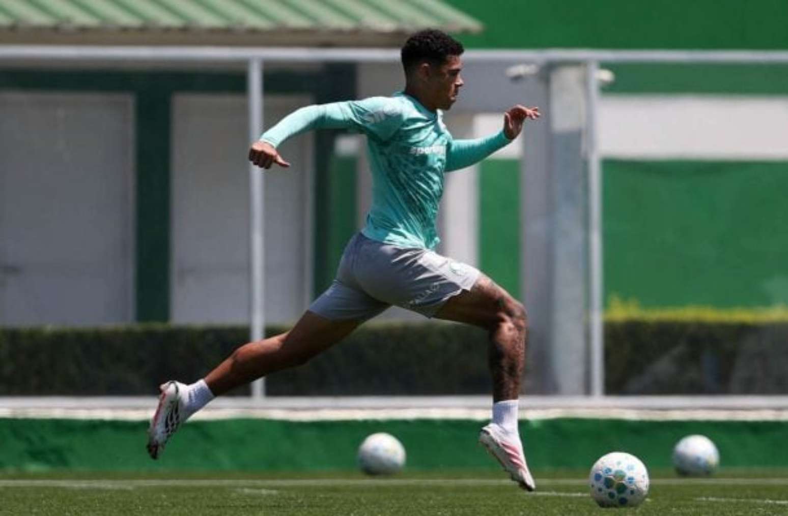 Palmeiras se prepara para o retorno do calend&aacute;rio ap&oacute;s a Data Fifa &ndash;