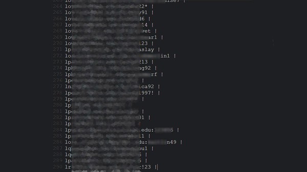 Como seus dados vão para a Dark Web? Entenda os vazamentos e saiba se proteger