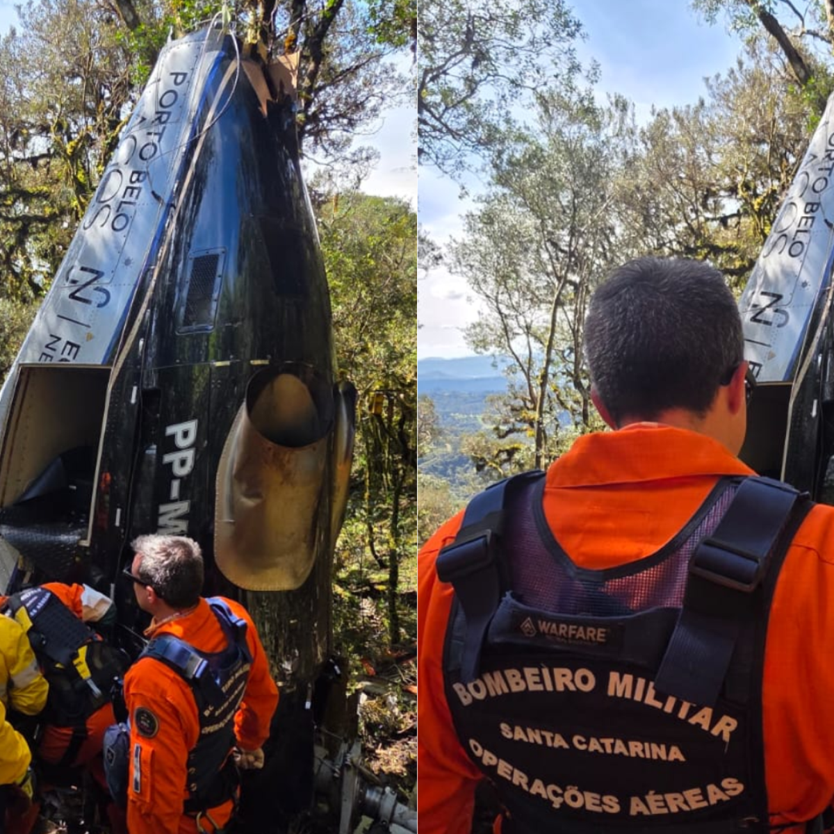 Helicóptero de Rick teria caído de bico no meio de árvores, diz perita