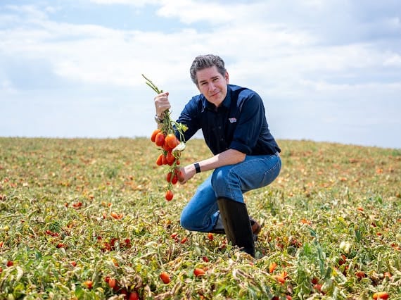Do campo ao ketchup: a operação por trás de um dos produtos mais populares da mesa