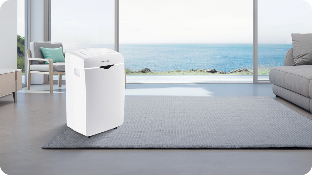 Hisense também tem modelo portátil — Foto: Divulgação/Hisense