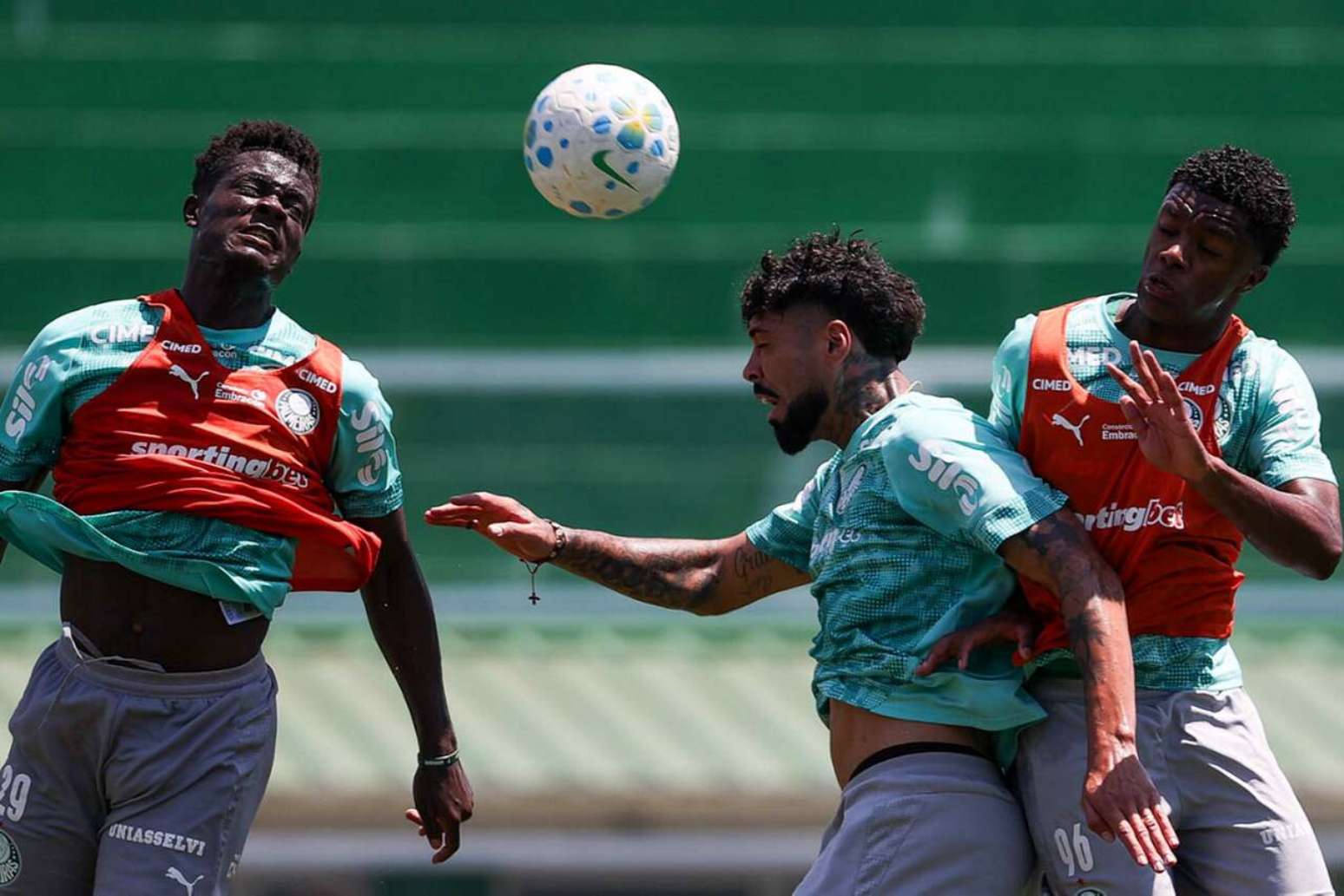 Palmeiras se prepara para o retorno do calend&aacute;rio ap&oacute;s a Data Fifa &ndash;
