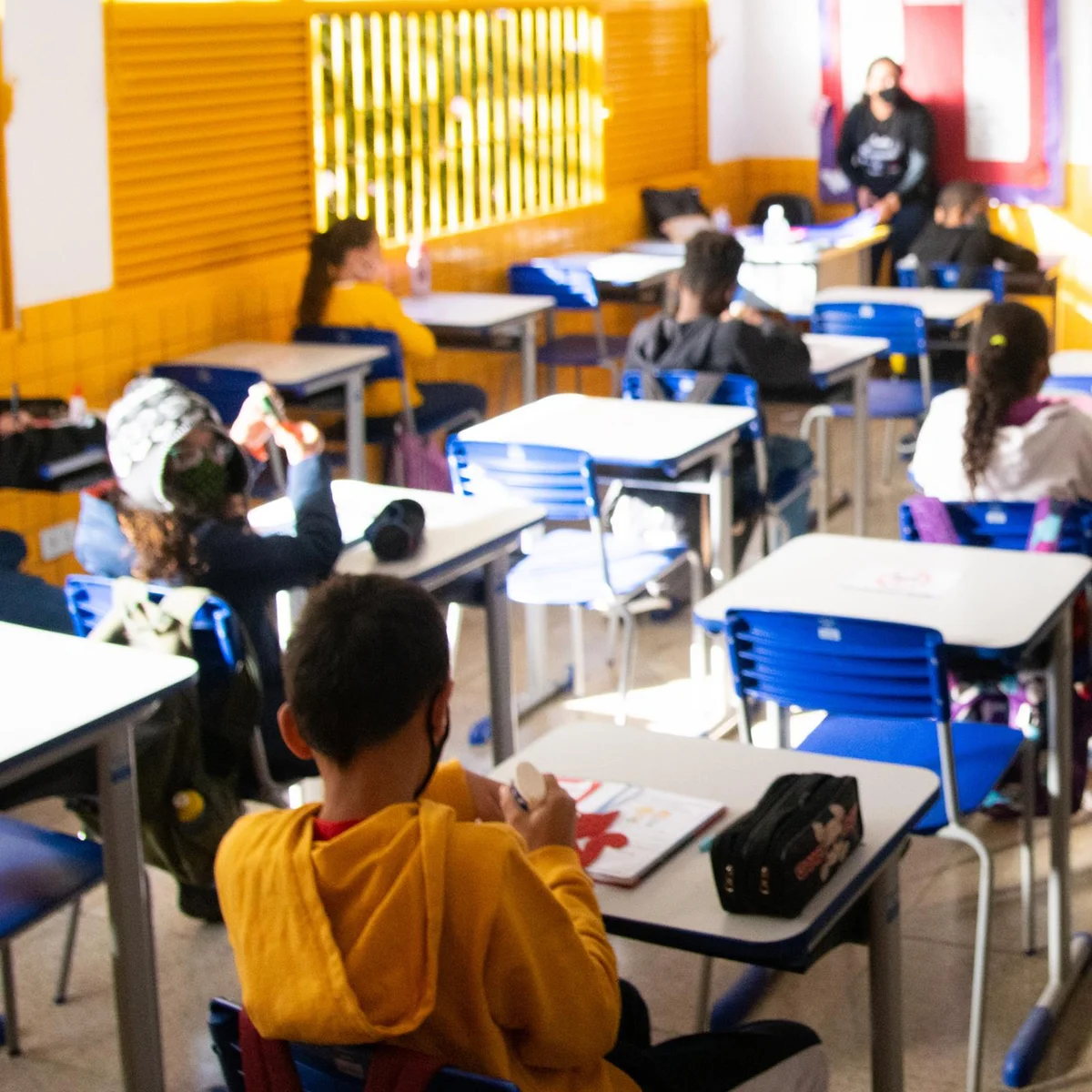 Alunos e professores de escola no DF enfrentam infestação de ratos
