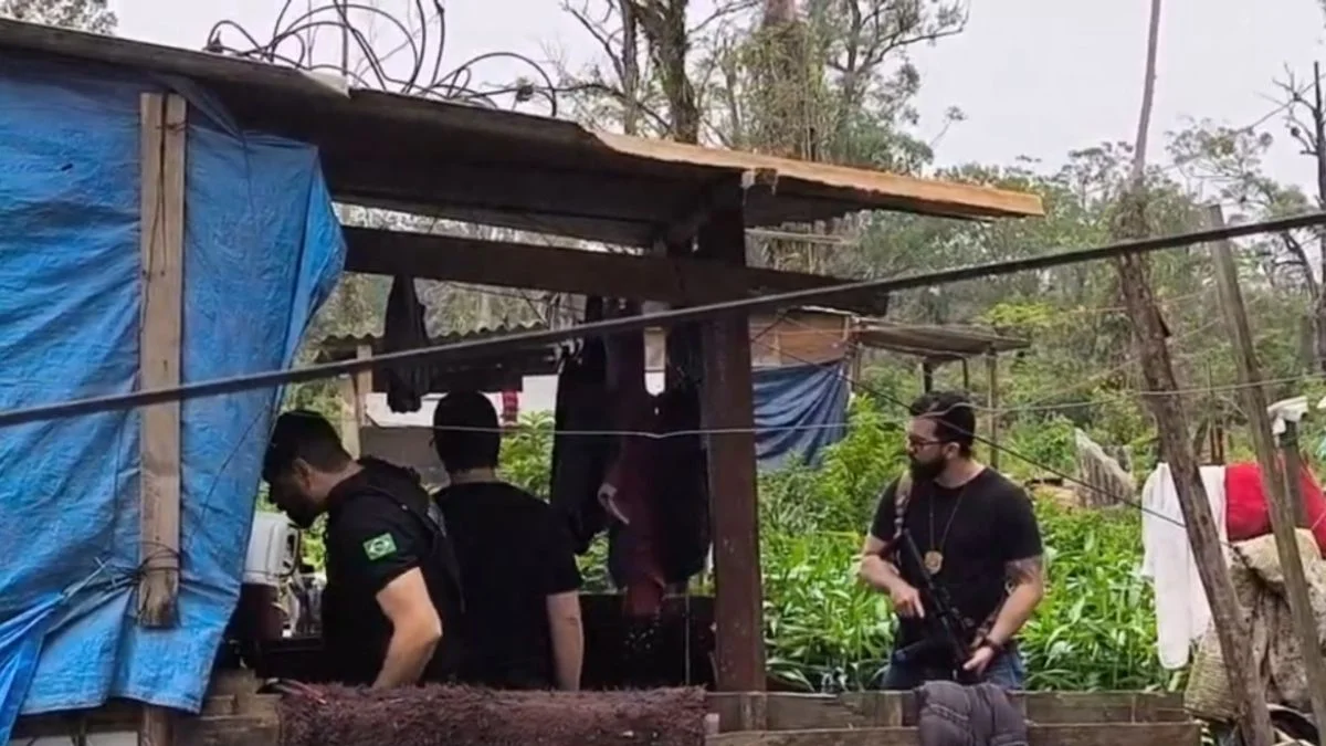 Menina de 2 anos é morta a golpes de martelo pelo irmão enquanto brincava