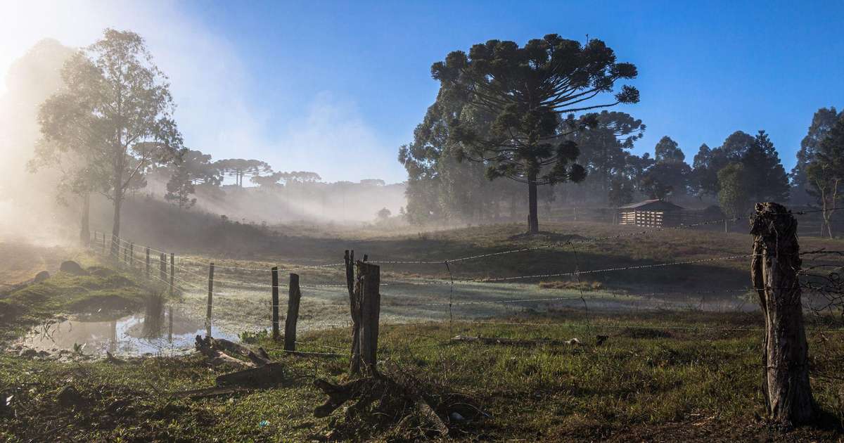 Primavera começa nesta terça: o que esperar da estação com o El Niño no Brasil