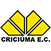 Imagem da matéria: Palmeiras se prepara para duelo em Quito com retorno de Sosa