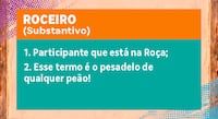 Proposital! Ariela Carasso pula na piscina e causa punição em A Fazenda