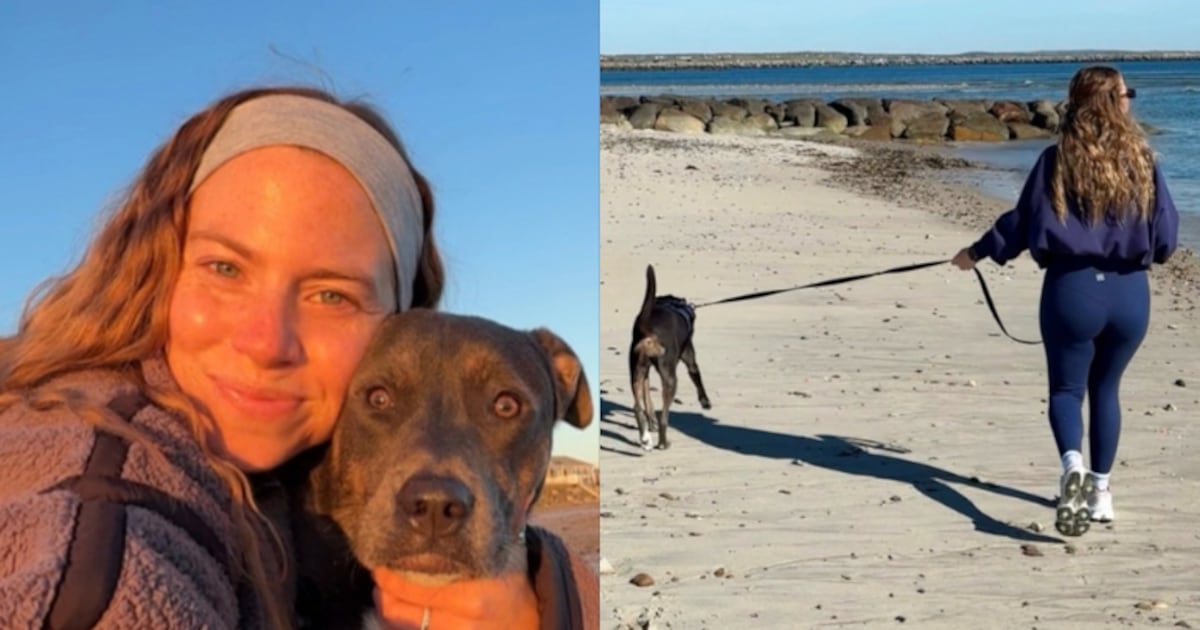 Professora troca sala de aula por passeios com cachorros e fatura cerca de R$ 20 mil por mês