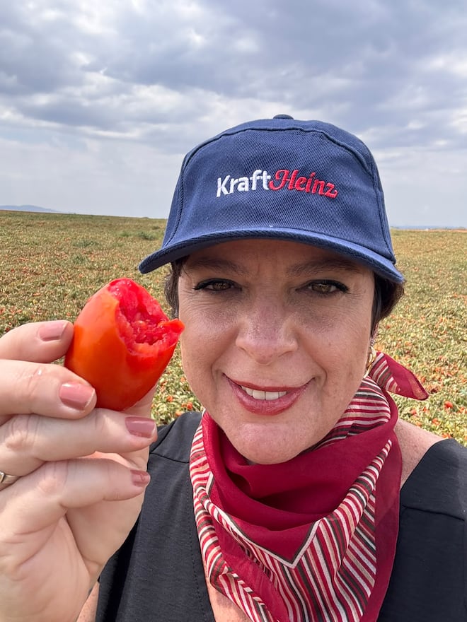 Do híbrido à colheita: como a tecnologia está mudando o cultivo do tomate