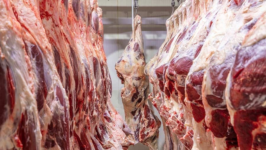 Shimuafeni permanecerá à frente da agência de estatísticas por mais 15 anos