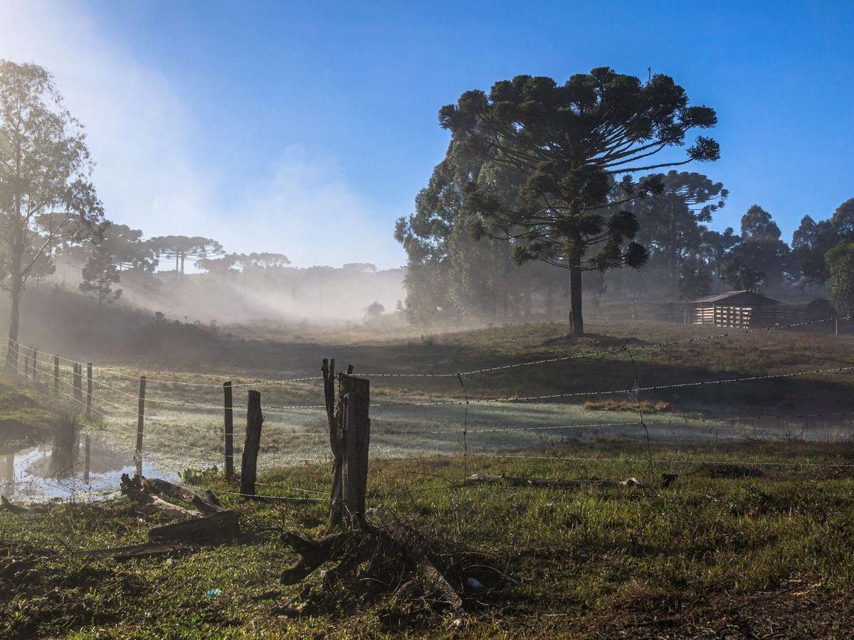 Primavera começa nesta terça: o que esperar da estação com o El Niño no Brasil