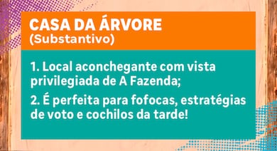 Proposital! Ariela Carasso pula na piscina e causa punição em A Fazenda