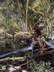 Imagens mostram operação após queda de helicóptero que levava Rick e Bruno