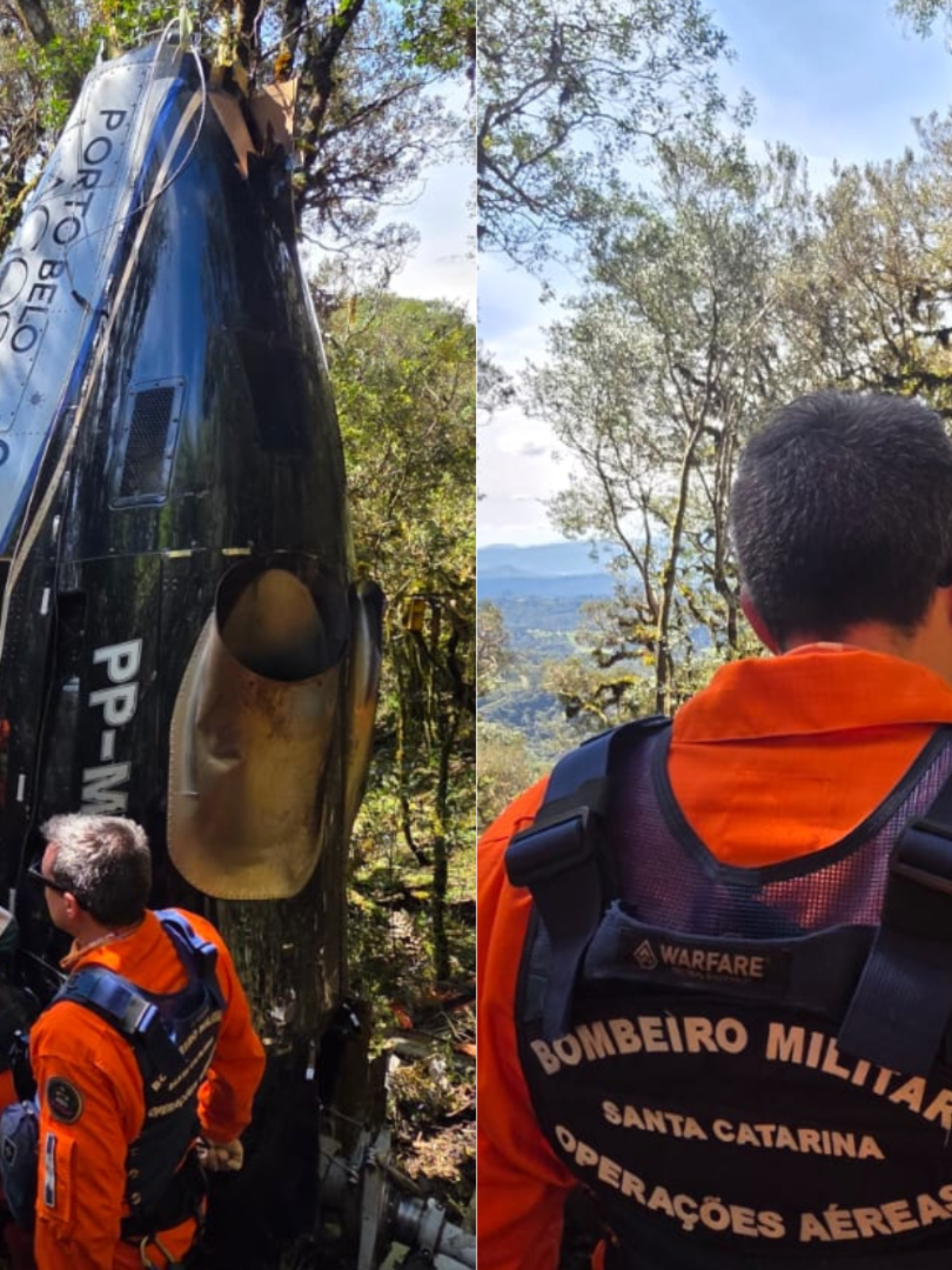 Helicóptero de Rick teria caído de bico no meio de árvores, diz perita