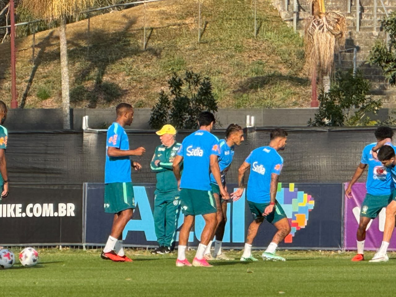 Com torcedores nas árvores, Seleção faz primeiro treino na Austrália com grupo reduzido