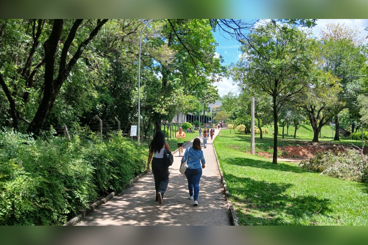 BH registra 33,9ºC e onda de calor deixa 623 cidades em alerta vermelho
