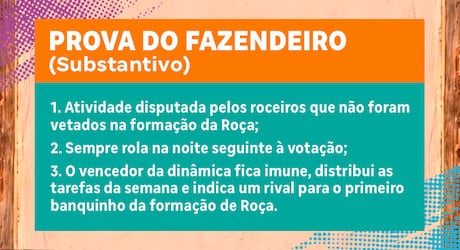 Proposital! Ariela Carasso pula na piscina e causa punição em A Fazenda