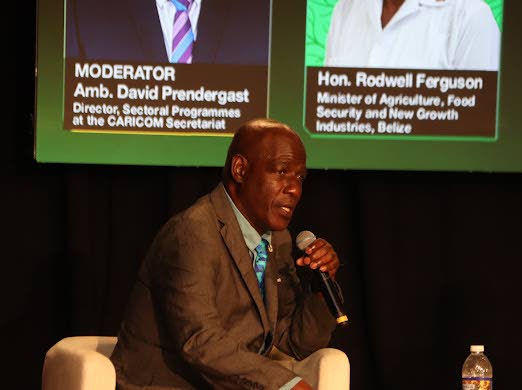 Rodwell Ferguson, Minister of Agriculture for Belize.