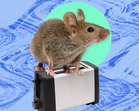 composite of a huge mouse sitting on a toaster