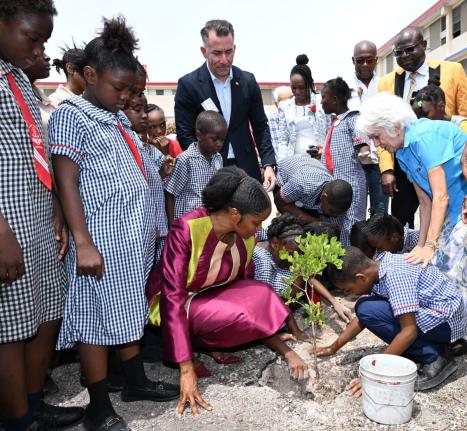 Terriann Nisbeth (stooping, left), principal of Tavares Gardens Primary School, is joined by her students as they plant a tree during the official launch of the 2026-2027 Trees for Peace Competition on Monday at their Payne Land, Kingston-based school. Obs
