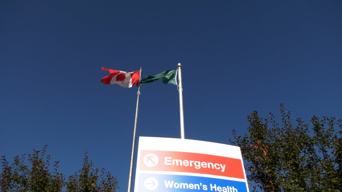 Should Alberta cut off access to health care, education and social services for temporary residents?