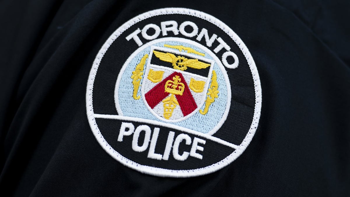 Female sexually assaulted at Scarborough park, suspect at-large