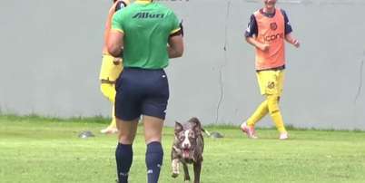 Apesar da cena inusitada, Vasco segurou o resultado e venceu o Madureira - Foto: Reprodu&ccedil;&atilde;o/Vasco TV / Jogada10